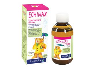 Echinax bimbi 200 ml