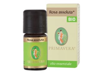 Rosa assoluta convenzionale olio essenziale 1 ml