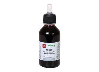 Sorbo 100ml mg