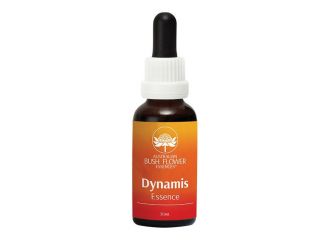 Dynamis 30 ml 1 pezzo