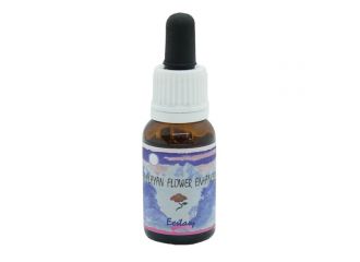 Ecstasy essenza 15 ml 1 pezzo