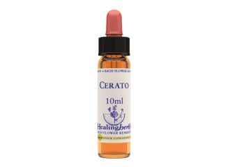 Cerato essenza 10 ml 1 pezzo