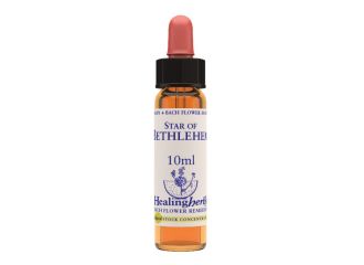 Star of bethlehem essenza 10 ml 1 pezzo