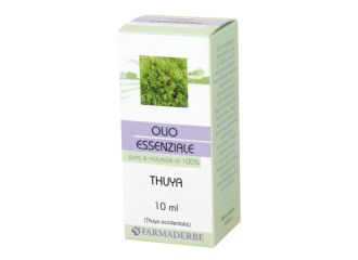 Thuya olio essenziale 10 ml