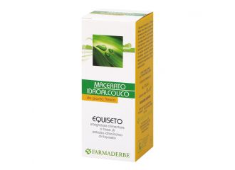 Equiseto macerato idroalcolico 50 ml