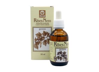 Ribes nero gemme 50 ml