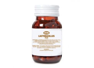 Dr taffi lactobacillus plus 50 capsule