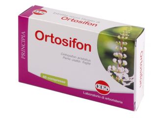 Ortosifon estratto secco 60 compresse