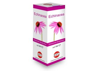 Echinacea soluzione idroalcolica pianta fresca 100 ml