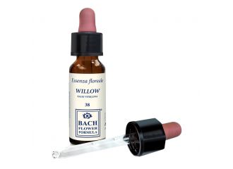 Willow original 10ml gtt