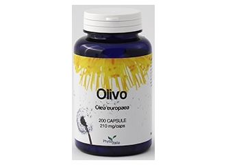 Olivo 60 capsule