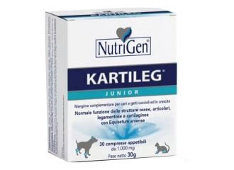 Kartileg junior 600 tavolette