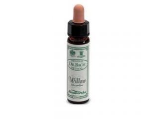 Ainsworths willow 10ml