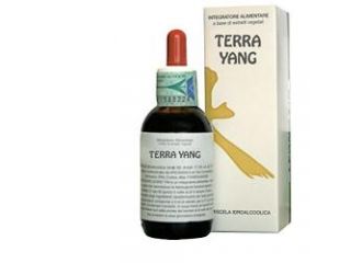 Terra yang 50 ml