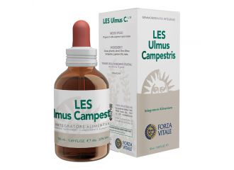 Les ulmus campestris gocce 50 ml