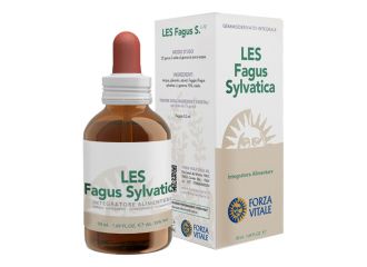 Les fagus silvatica gocce 50 ml