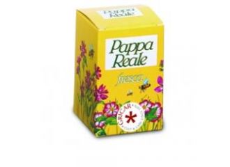 Pappa reale fresca 10 g