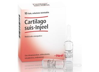 Cartilago suis inj 10f.heel