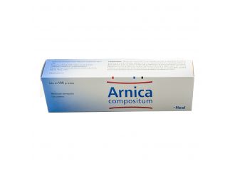 Arnica comp.pom.100g heel