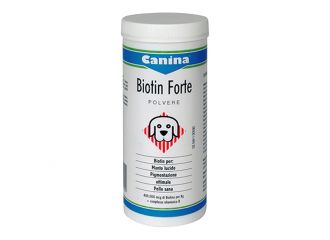 Biotin forte polvere 200 g