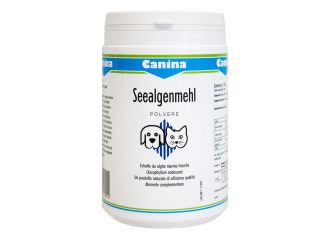 Seealgen polv.750g canina