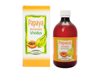 Papaya fermentata 500 ml