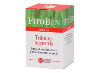 Tribulus terrestris 50 capsule