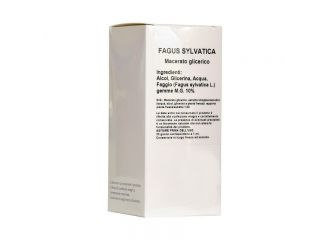 Fagus sylv.mg 100ml sarandrea