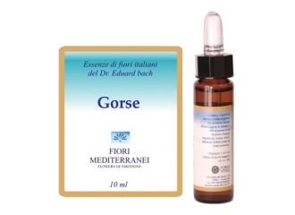 Fiori mediterranei gorse 10 ml