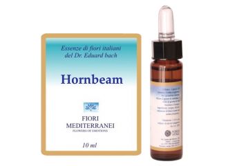 Fiori mediterranei hornbeam 10 ml