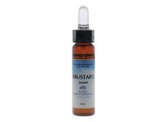 Fiori mediterranei mustard gocce 10 ml