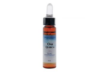 Fiori mediterranei oak gocce 10 ml