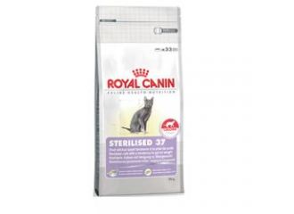 ROYAL CANIN GATTO STERILISED 37 2 KG