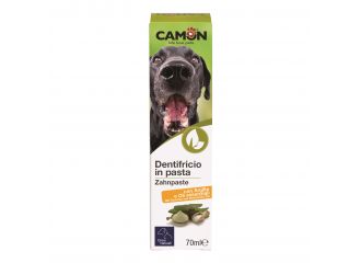 CAMON CANE DENTIFRICIO IN PASTA 70 gr