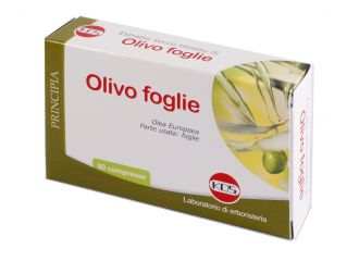 Olivo foglie estratto secco 60 compresse