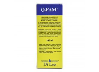 Q-fam 100 ml