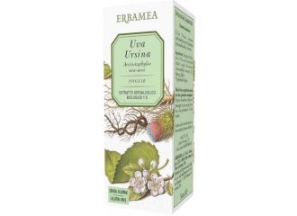 Uva ursina 50 ml