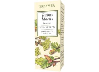 Rubus idaeus lampone bio 50 ml