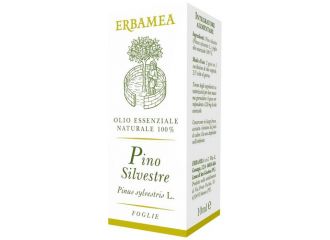 Pino silvestre 10 ml