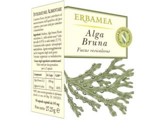 Alga bruna 50 opercoli