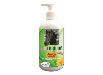 Equitrauma 500 ml