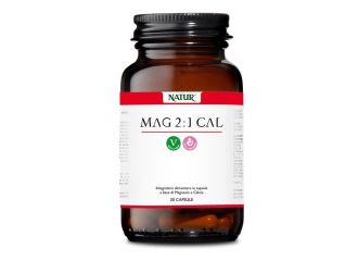 Mag 2:1 cal 30 capsule vegetali