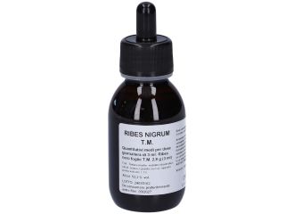 Ribes nigrum t.m.100ml oti