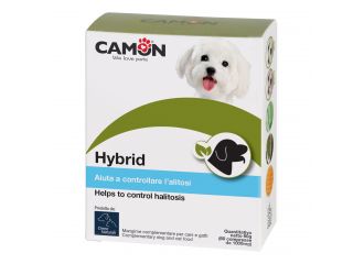 CAMON HYBRID 60CPR