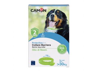 Protection collare barriera cane 75 cm