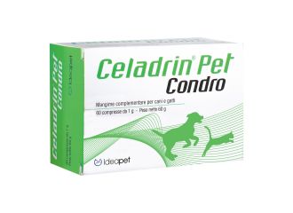 Celadrin pet condro 60g