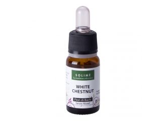 White chestnut 10 ml