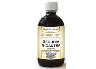 Gemmo 10+ sequoia 500 ml liquido analcolico