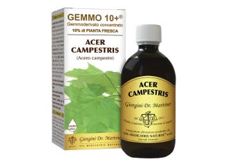 Gemmo 10+ acero campestre 500 ml liquido analcolico