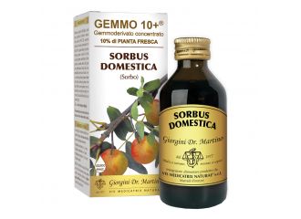 Sorbo analco gemmo 10+ 100 ml